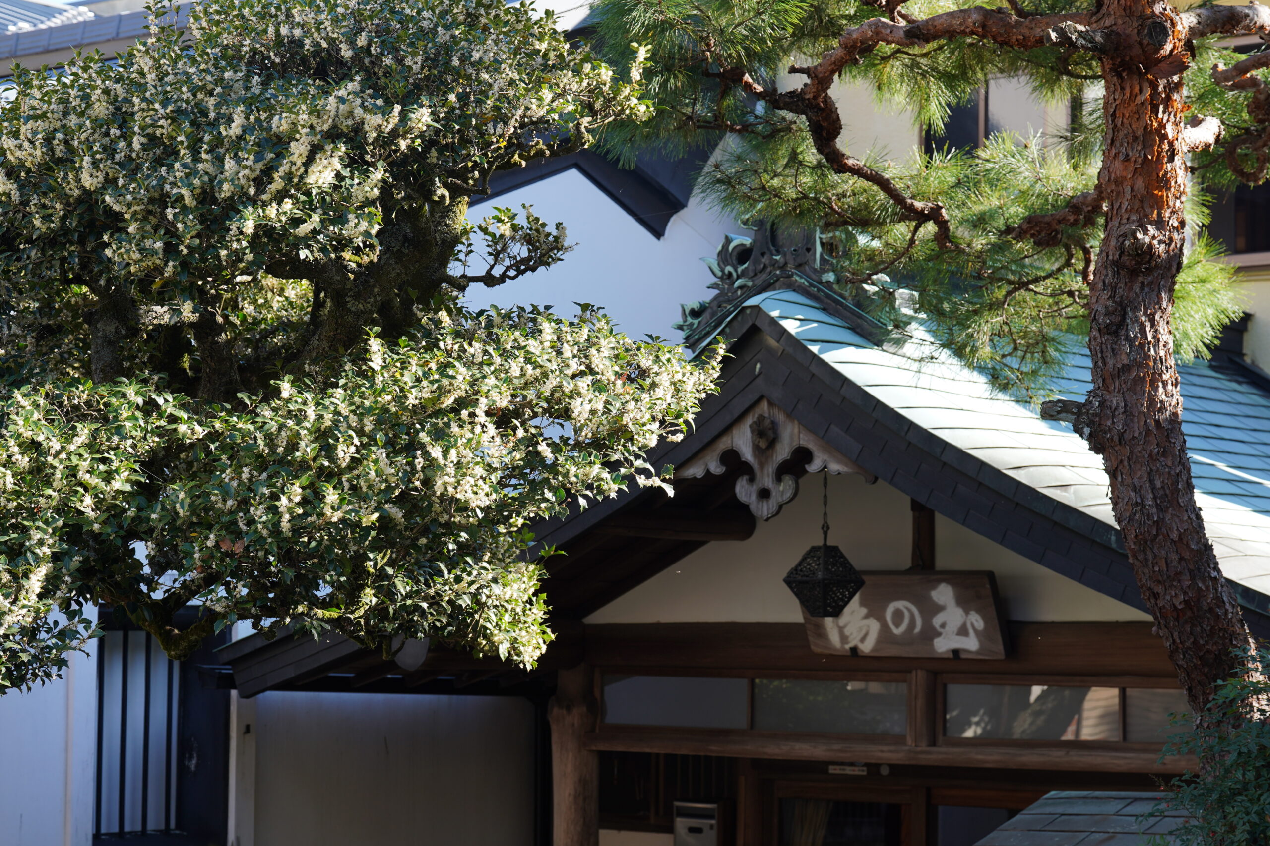 玄関の甘い香り