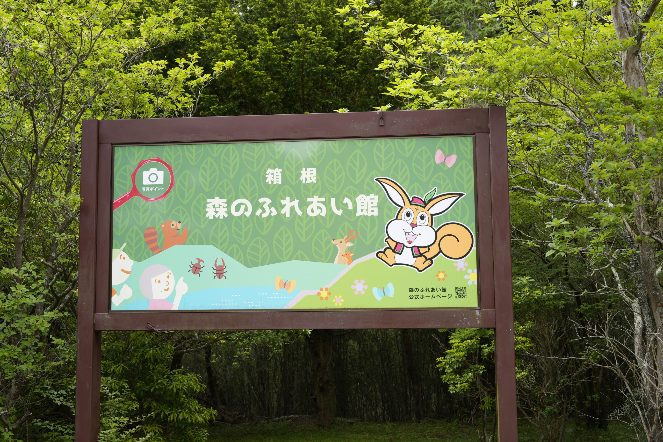 森のふれあい館に行ってきました。